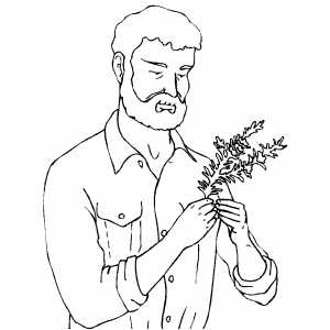 300x300 Man With Rosemary Coloring Page
