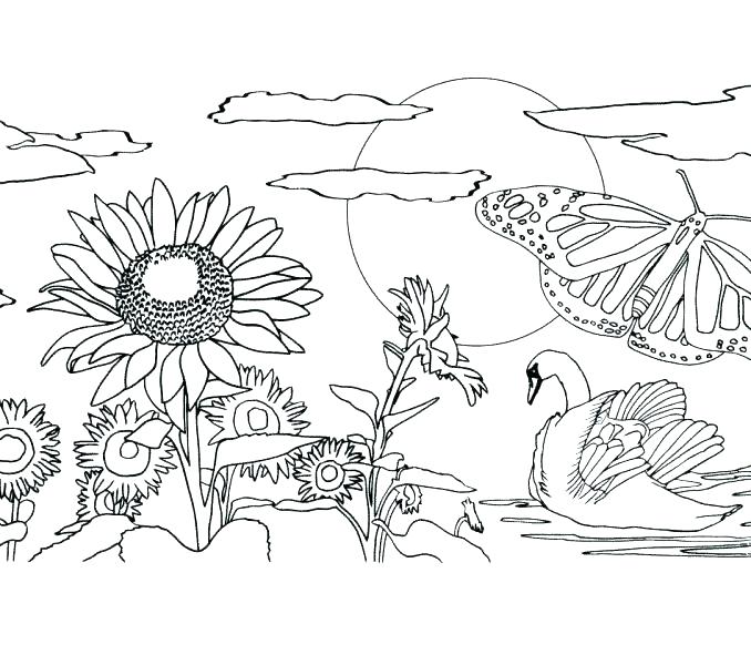 678x600 Printable Coloring Pages Nature Scenes Mandala Awesome