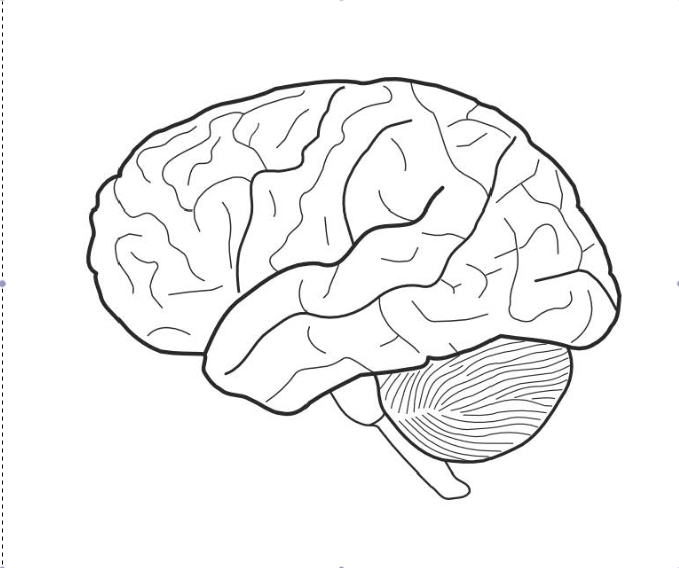 679x568 Coloring Pages Of The Brain Brain Coloring Page Fresh Brain