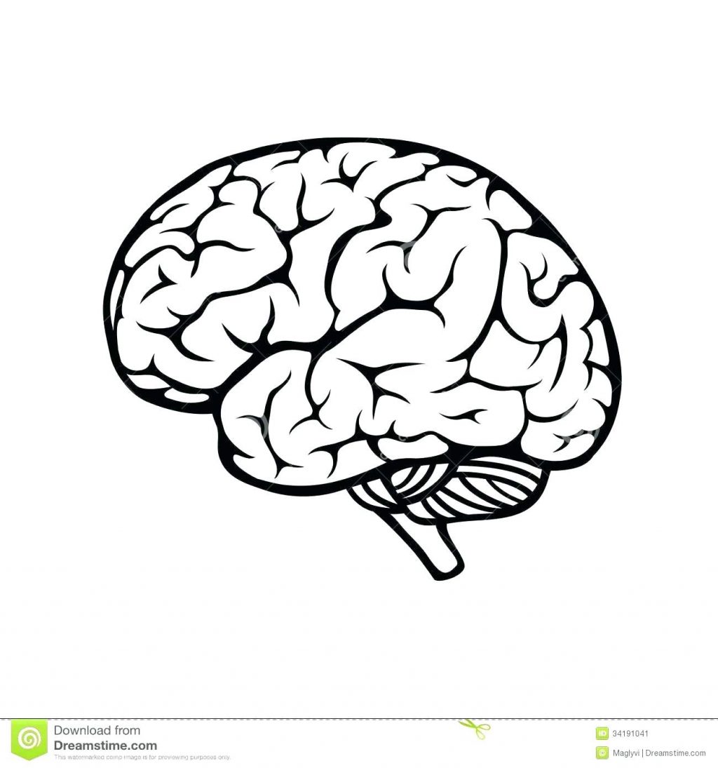 1024x1095 Coloring Pages Brain Coloring Page Download Large Image Pdf