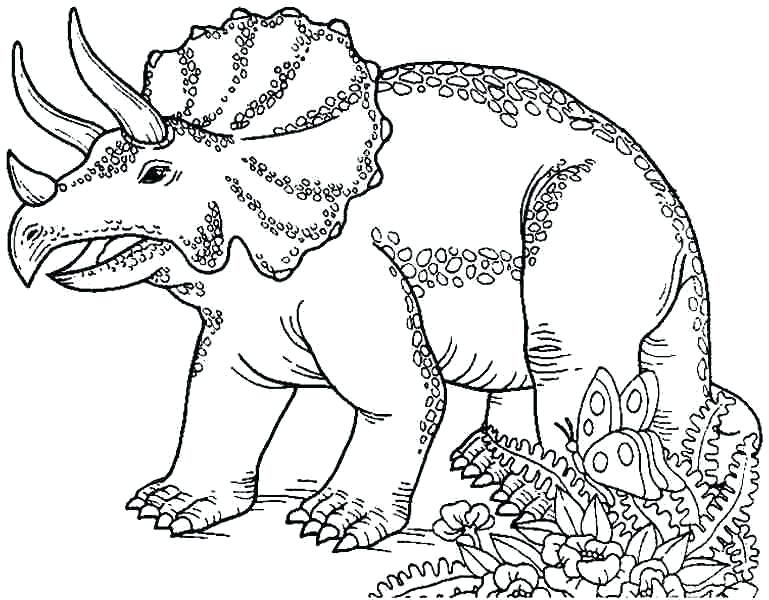 769x600 Dinosaurs Coloring Pages Dinosaur Page