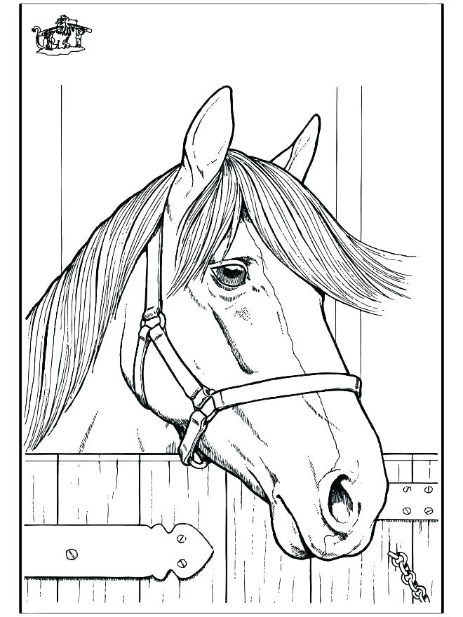 660x880 Horse Head Coloring Pages