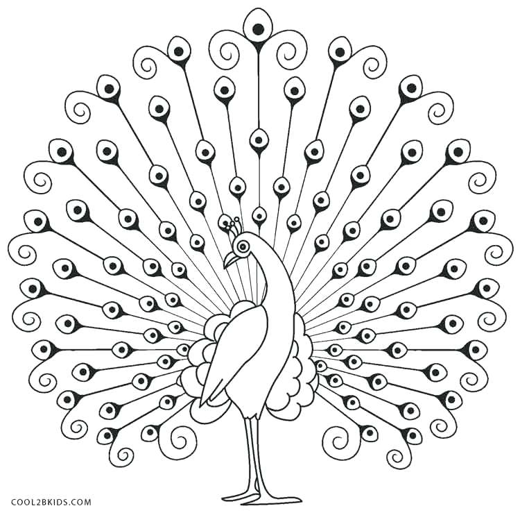 750x739 Peacock Coloring Pages New Peacock Coloring Pages With Additional