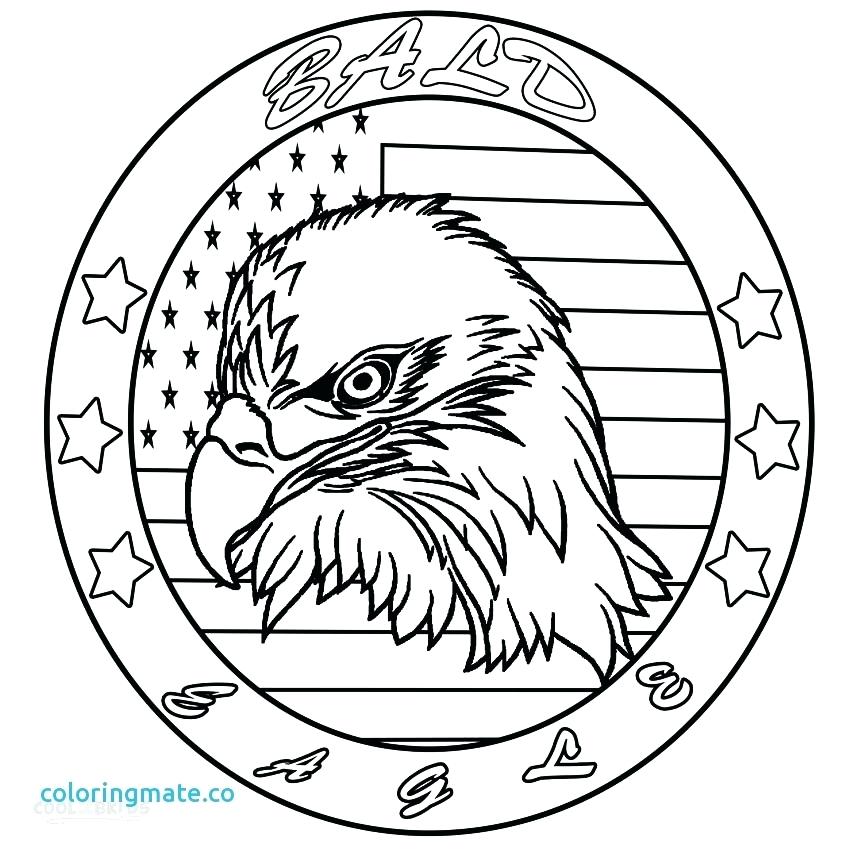 850x850 Bald Eagle Coloring Pages Eagle Coloring Pages New Printable Bald