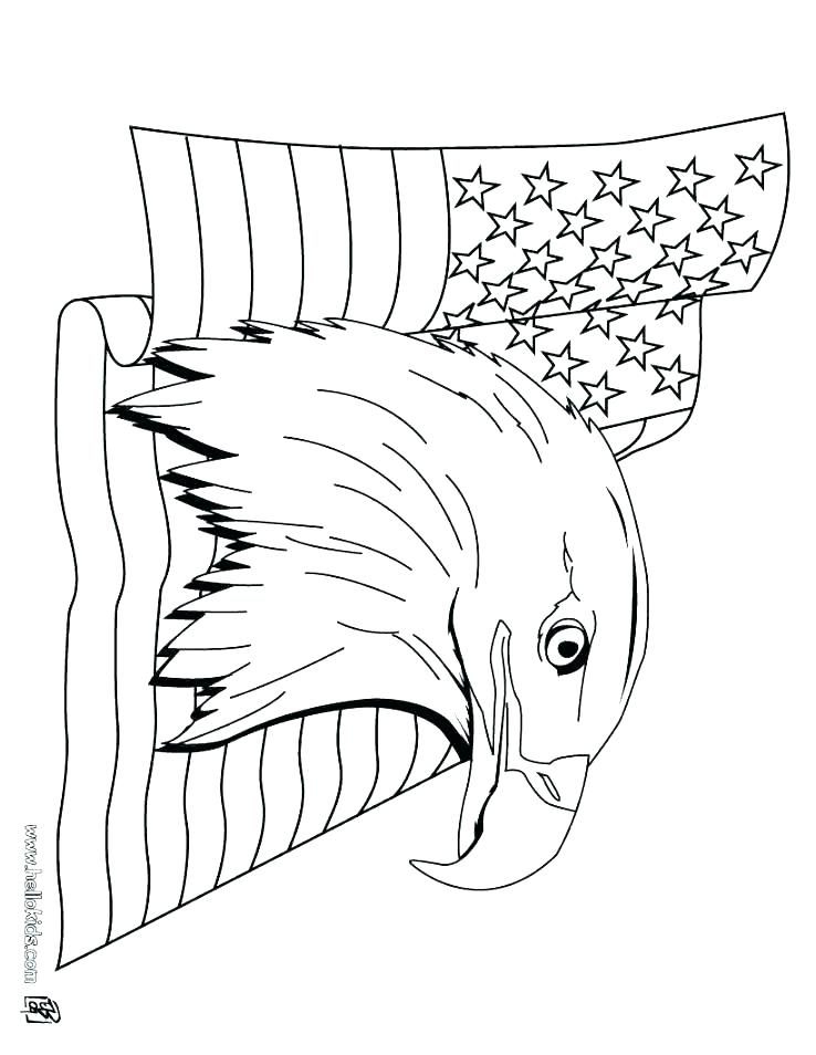 738x954 Eagle Color Page Head Coloring Page Eagle Color Sheet Bald Eagle
