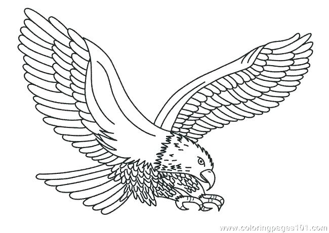 650x461 Eagle Coloring Page Eagles Coloring Pages Printable Eagle Best