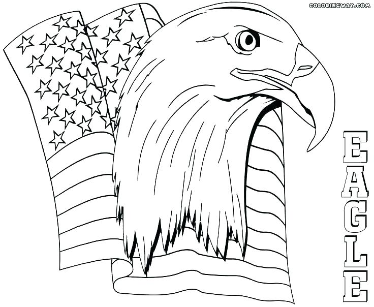 736x604 Harpy Eagle Coloring Page Harpy Eagle Coloring Page Eagle Color