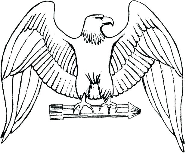 618x510 Philadelphia Eagles Coloring Pages Coloring Page Of An Eagle Eagle