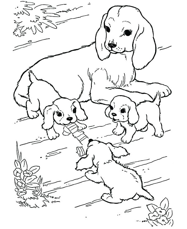 600x734 Coloring Pages Animals And Their Babies Coloring Pages