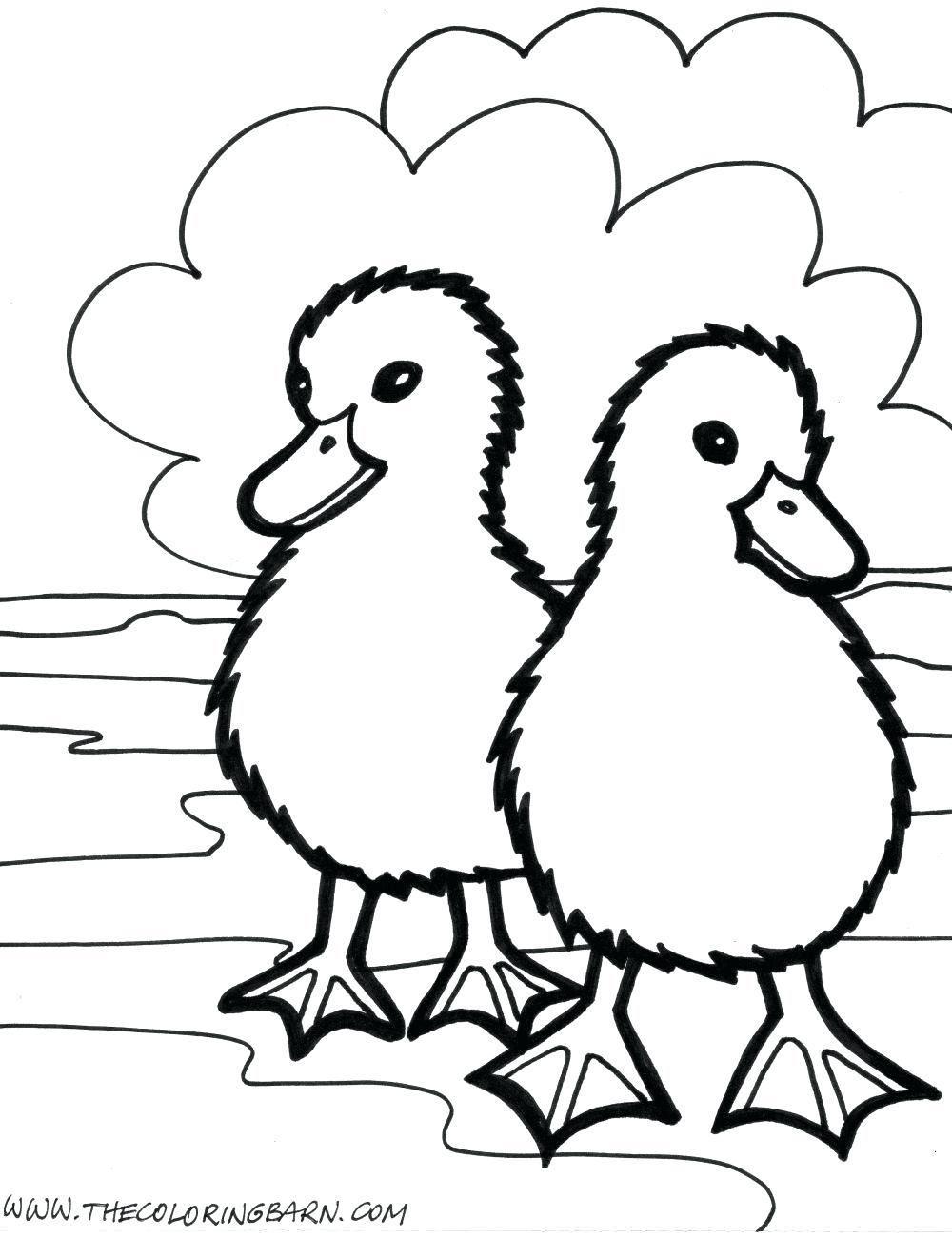1000x1300 Coloring Page Coloring Pages Of Farm Animals Page Fun And Their