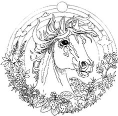 236x233 Coloring Pages Of Animals Hard Color Bros