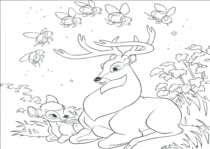 860x612 Baby Deer Coloring Pages Baby Deer Coloring Pages Free Printable