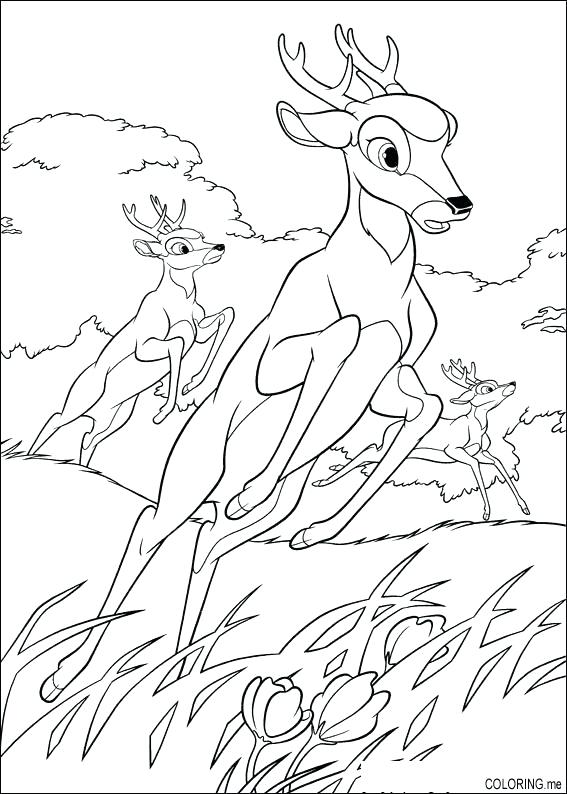 567x794 Coloring Pages Of Deer Coloring Page Deer Printable Kids Colouring