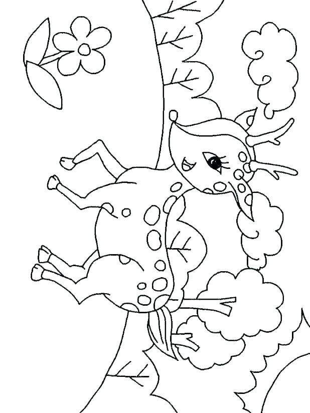 618x824 Deer Hunting Coloring Pages Free Deer Coloring Pages Baby Deer