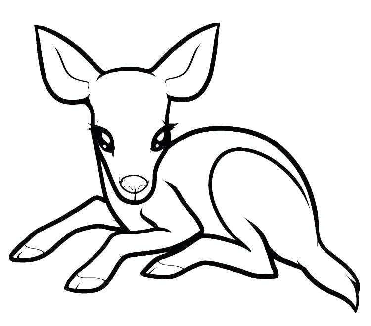 750x659 Free Deer Coloring Pages Free Deer Coloring Pages Baby Deer