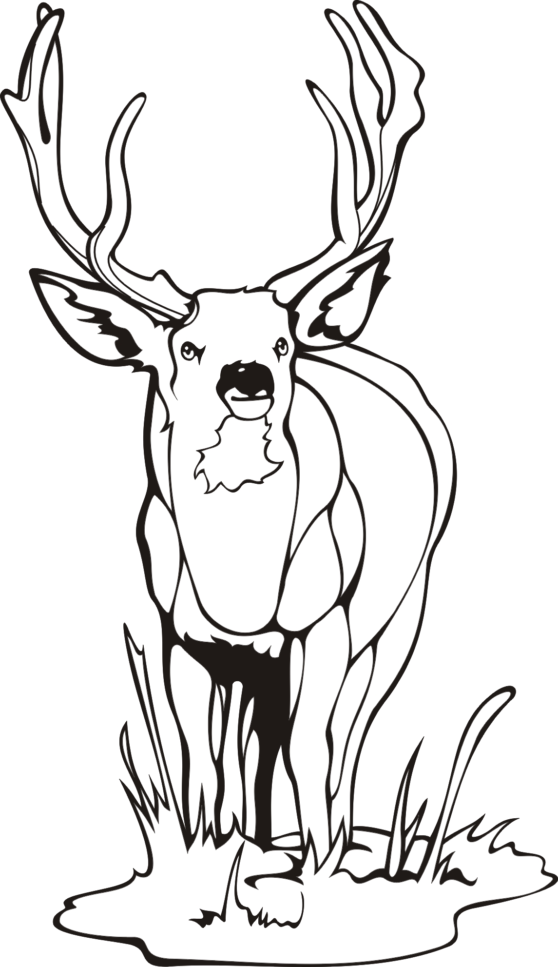 1145x1983 Baby Deer Coloring Page Pages Pictures Of A Animal Whitetail