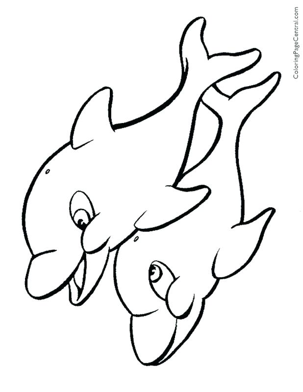 618x800 Coloring Pages Dolphins Dolphin Printable Coloring Pictures Free