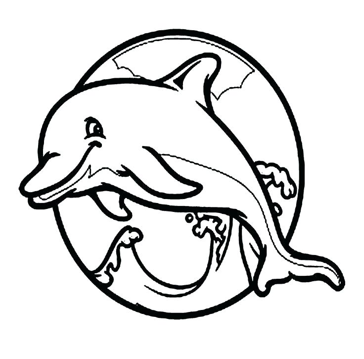 736x725 Cute Dolphin Coloring Pages Baby Dolphin Coloring Page Fan Picture