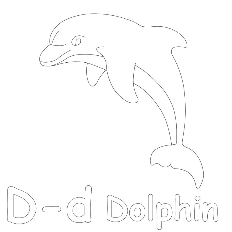 800x800 Perfecto Coloring Pages Of Baby Dolphins