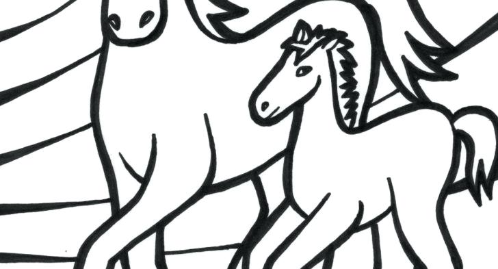 728x393 Baby Dolphin Coloring Pages Baby Dolphin Coloring Page Baby