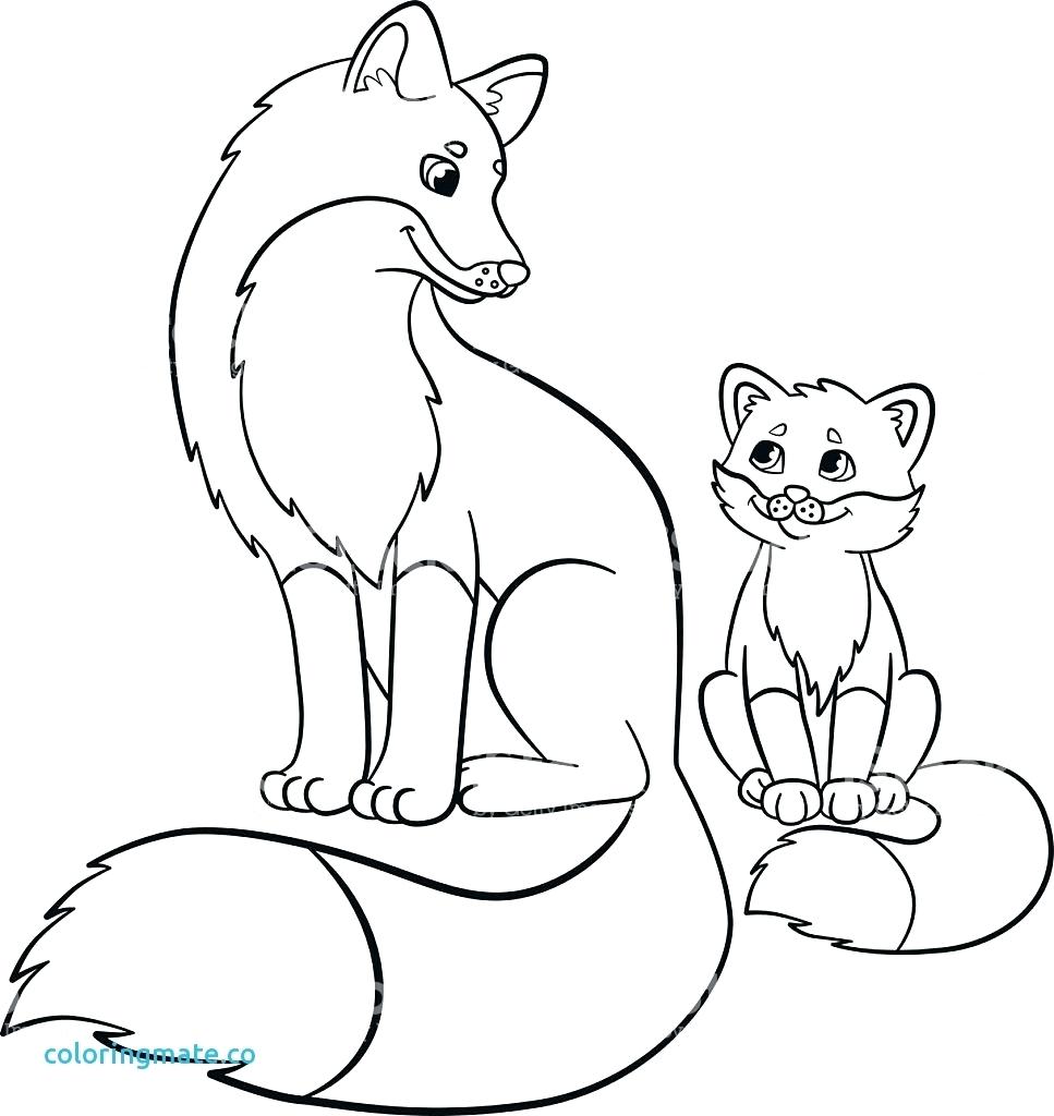 967x1024 Baby Fox Coloring Pages