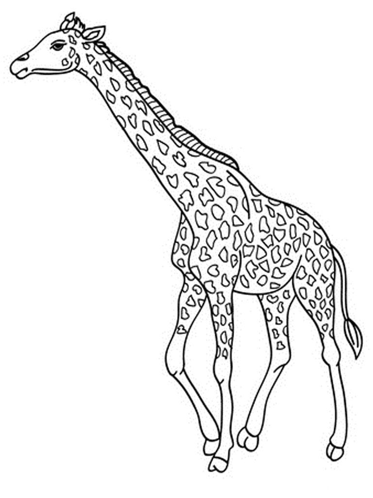 768x1024 Baby Giraffe Coloring Pages Giraffe Coloring Pages Realistic
