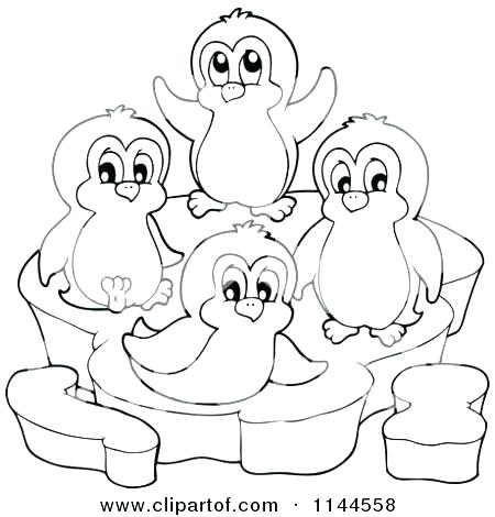 450x470 Baby Penguin Coloring Pages The Teachers Lounge Has Book Ideas