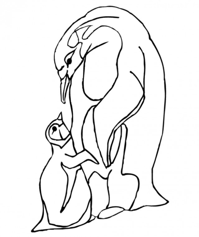 640x764 Winter Animals Coloring Pages Baby Penguin And Mother Winter