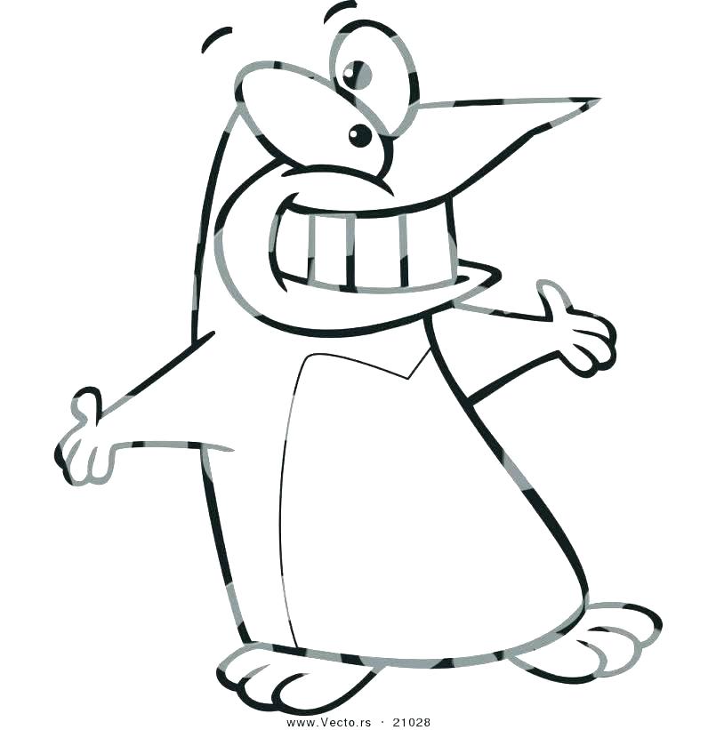 805x821 Pictures Of Penguins To Color