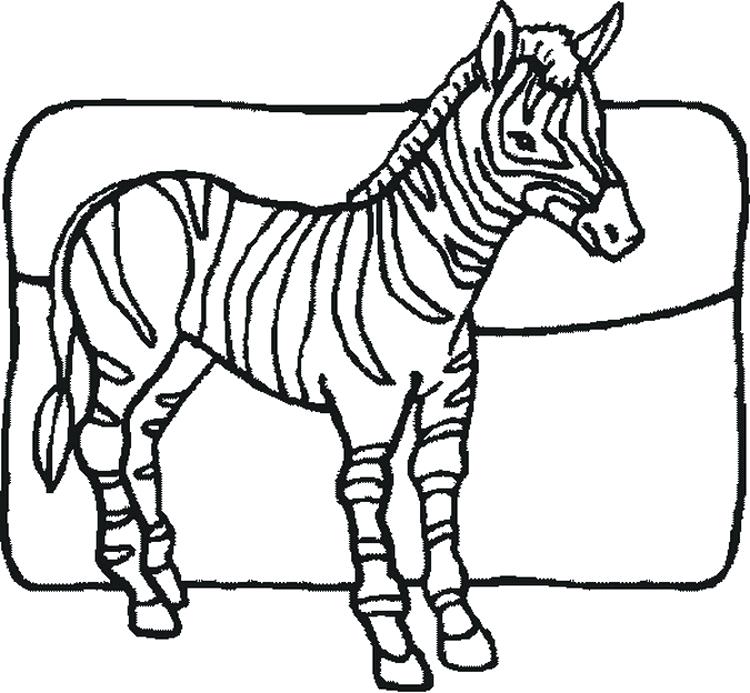 750x693 Zebra Coloring Pages Free Printable Zebra Coloring Pages Baby