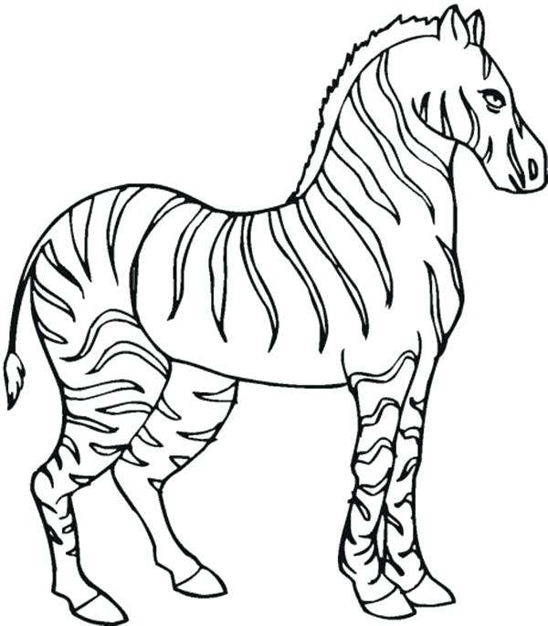 Coloring Pages Of Baby Zebras at GetDrawings | Free download