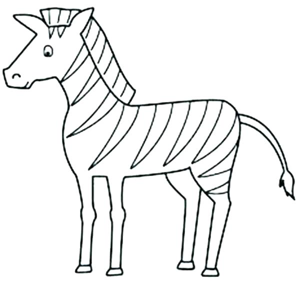 600x564 Baby Zebra Coloring Pages Zebra Coloring Pages For Kids Printable
