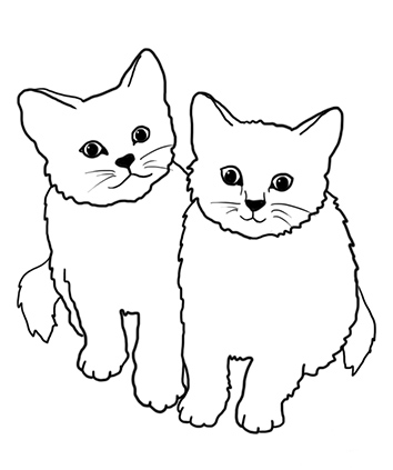 354x423 Cat Black And White Cat Coloring Pages Clipart