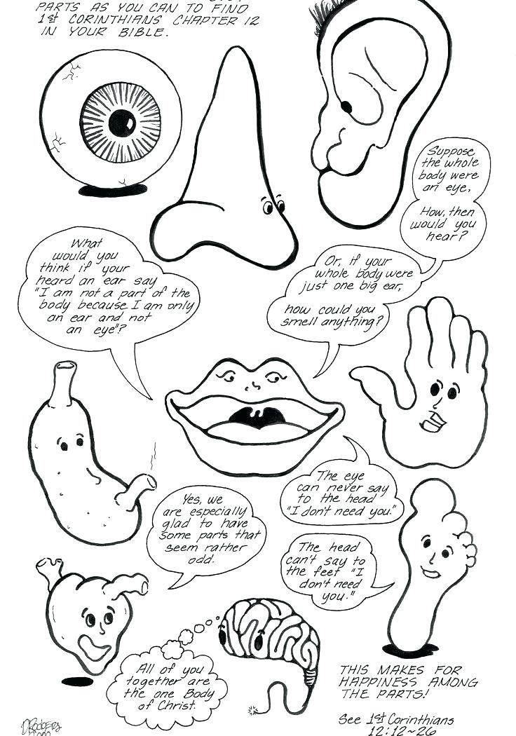 736x1050 My Coloring Pages Body Coloring Page Parts For Kids Learn My Pages
