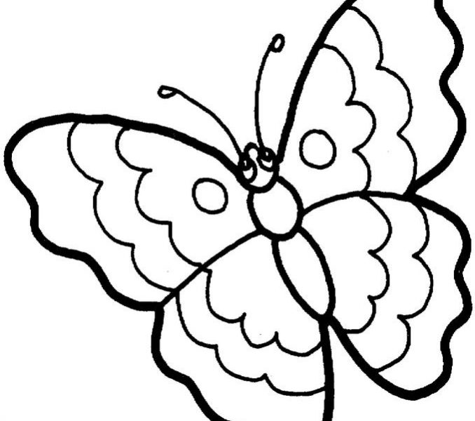 678x600 Things To Color For Kids Free Printable Girls Stuff Coloring Pages