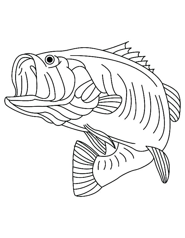 600x771 Stunning Remarkable Bass Fish Coloring Pages Image Sea Predator
