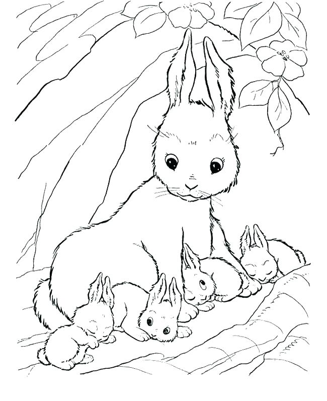 650x796 Coloring Pages Of Cute Baby Bunnies Coloring Pages Rabbit Rabbits