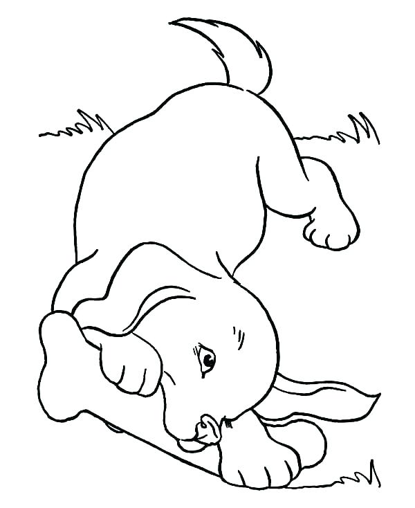 600x734 Cute Dogs Coloring Pages Coloring Pages Cute Dogs Puppies Content