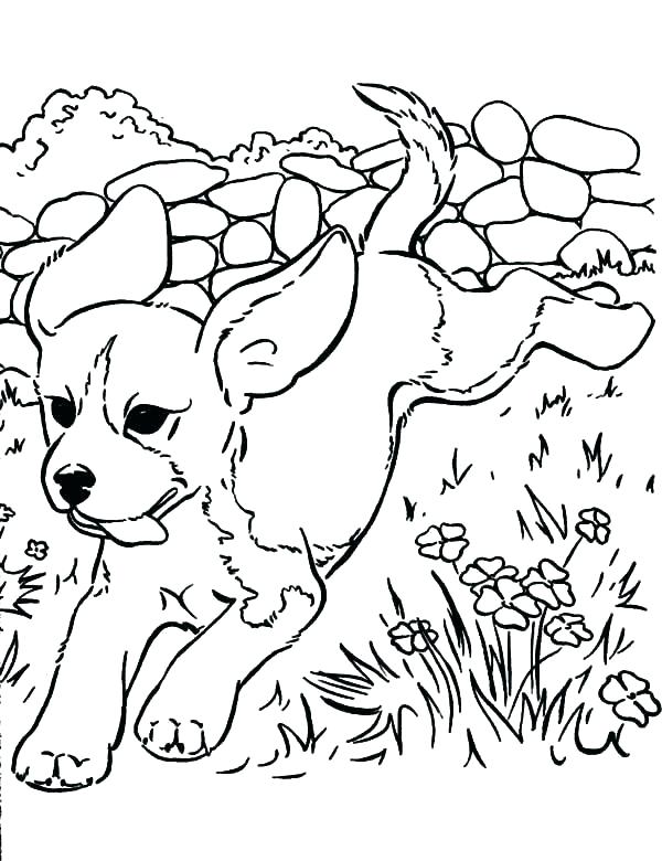 600x780 Cute Puppies Coloring Pages Ing Ing Cute Baby Puppies Coloring