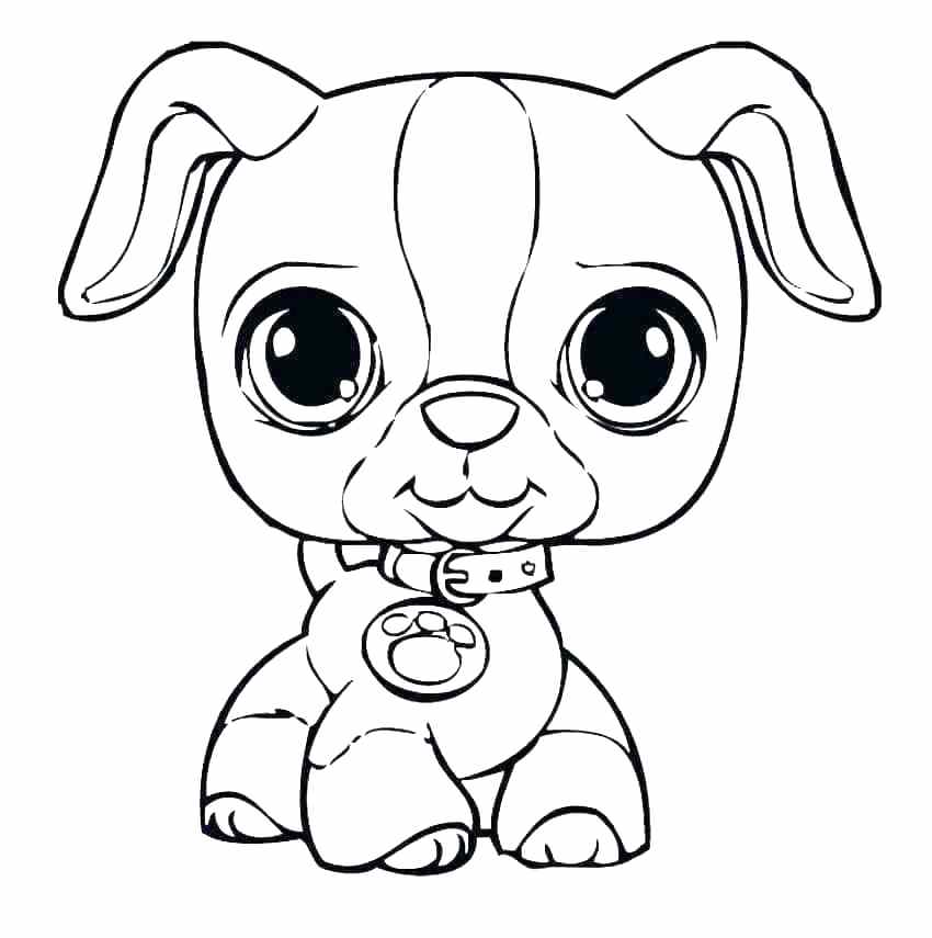 850x855 Puppy Color Page Puppy Color Page Best Puppy Coloring Pages Ideas