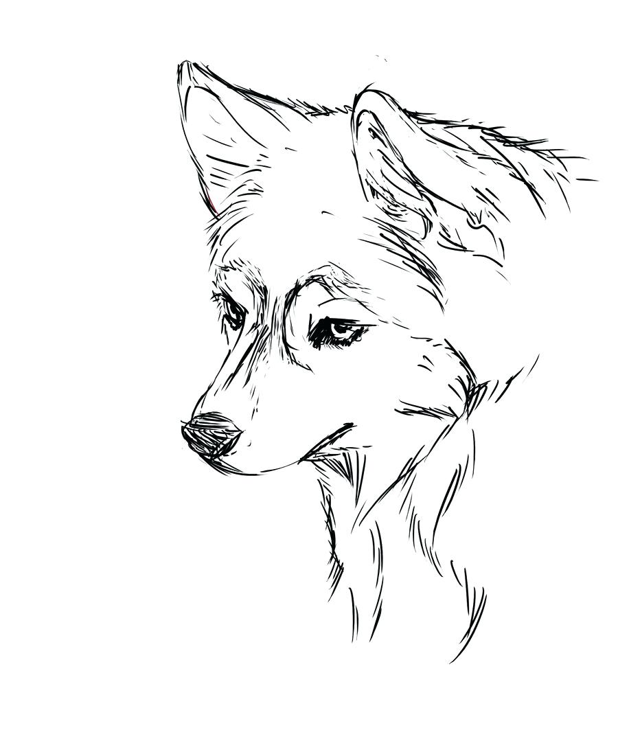 900x1063 Coloring Pages Cute Puppy Coloring Pages Husky Baby Cute Puppy