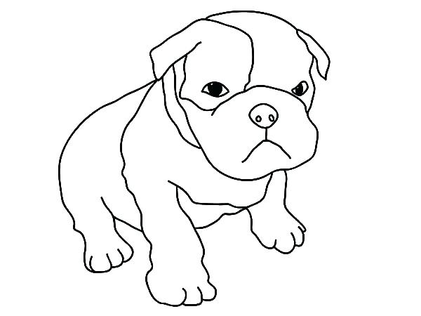 600x450 Baby Puppy Coloring Pages Cute Baby Puppy Coloring Pages