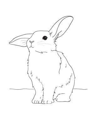 300x388 Cute Easter Bunny Coloring Pages