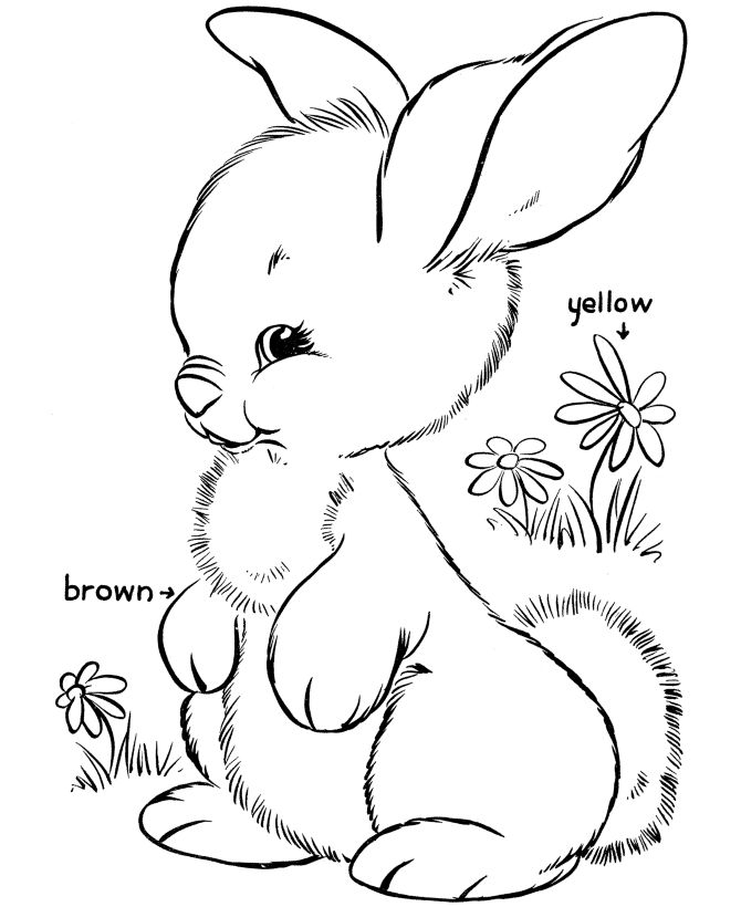 670x820 Easter Bunny Coloring Pages Bluebonkers
