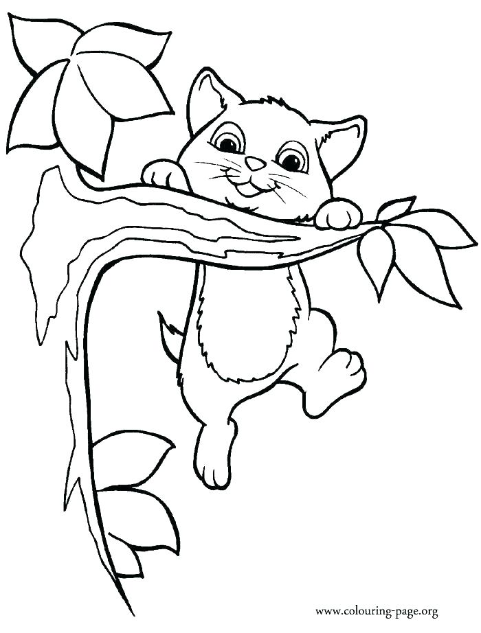 700x922 Cute Cat Coloring Page Cute Kitty Cat Coloring Pages Kids Free