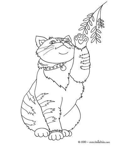 363x470 Cat Coloring Pages