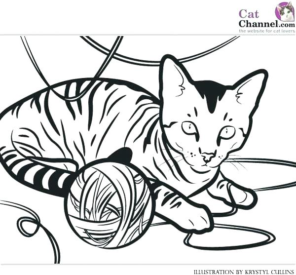 600x557 Cartoon Kitty Coloring Pages Cute Cat Coloring Pages Cute Baby Cat