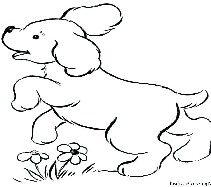 678x600 Coloring Pages Dogs And Puppies Doggy Coloring Pages Cute Puppy