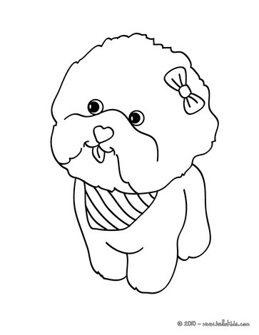 363x470 Maltese Dog Puppy Coloring Page For Kids Add Some Colors