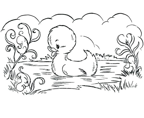 600x490 Duckling Coloring Pages Free Printable Duckling Coloring Pages